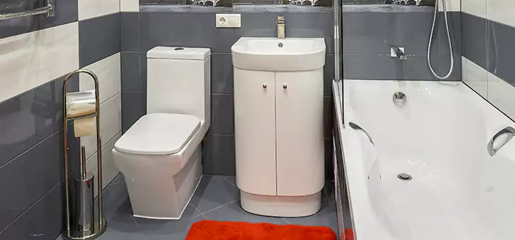 Hansgrohe Shaving Mirror Mount Vernon